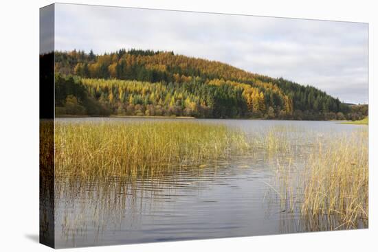 Woodhall Loch, Near Laurieston, Dumfries and Galloway, Scotland, United Kingdom, Europe-Gary Cook-Premier Image Canvas