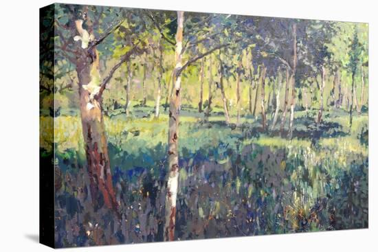 Woodland, 2014-Martin Decent-Premier Image Canvas