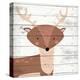 Woodland Creatures 2-Kimberly Allen-Stretched Canvas