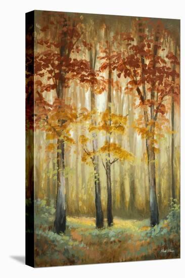 Woodland Glow I-Michael Marcon-Stretched Canvas