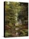 Woodland In The Fall-Bill Makinson-Premier Image Canvas