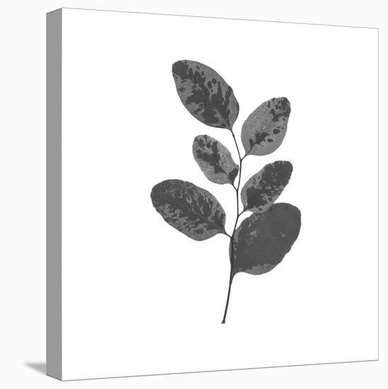 Woodland Leaves II-The Chelsea Collection-Stretched Canvas