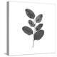 Woodland Leaves II-The Chelsea Collection-Stretched Canvas