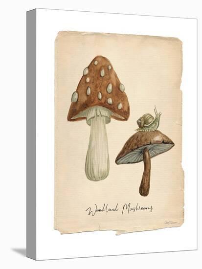 Woodland Mushrooms-Carol Robinson-Stretched Canvas