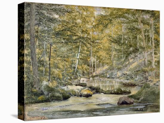 Woodland Pool with Men Fishing, 1870 (W/C on Paper)-John William Hill-Premier Image Canvas