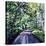 Woodland Road 2017-Tilly Willis-Premier Image Canvas