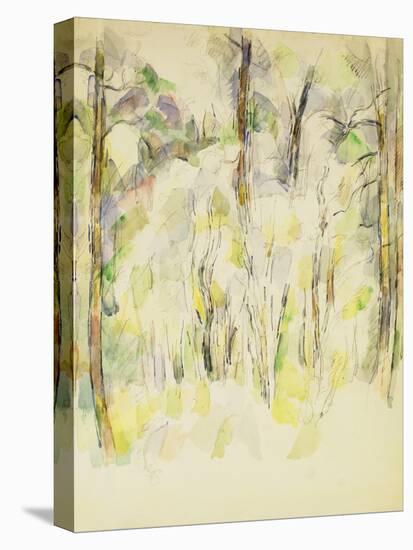 Woodland Scene, C.1900-1904-Paul Cézanne-Premier Image Canvas