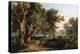 Woodland Scene-James Stark-Premier Image Canvas