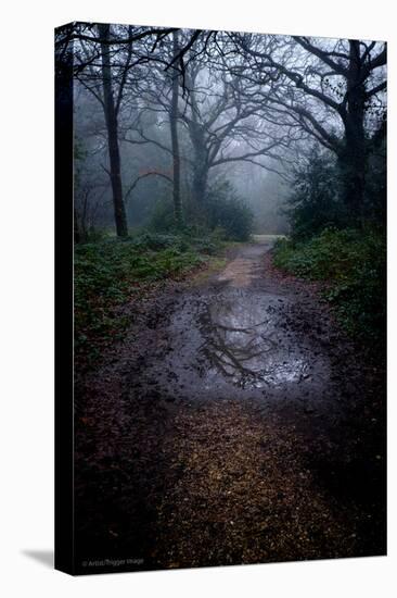 Woodland Scenery in England-David Baker-Premier Image Canvas