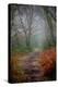 Woodland Scenery in England-David Baker-Premier Image Canvas