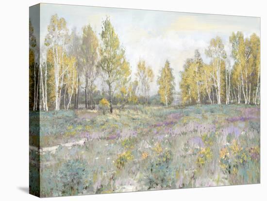 Woodland Wander-Alan Lambert-Stretched Canvas