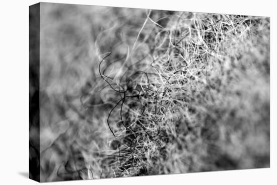 Wool Hat Closeup-null-Stretched Canvas