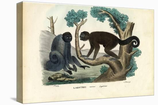 Woolly Monkey, 1863-79-Raimundo Petraroja-Premier Image Canvas