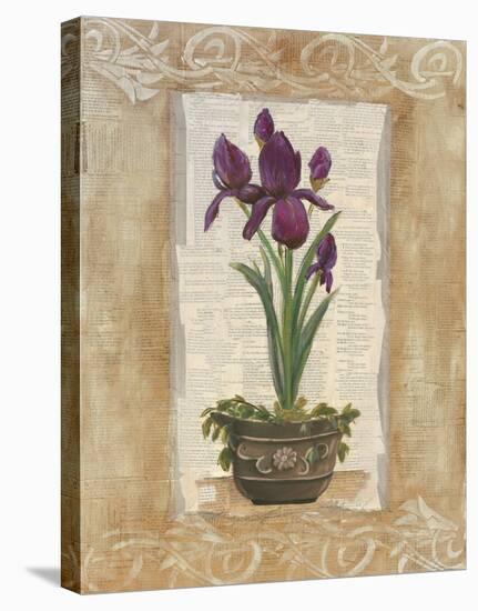 Words And Flowers ll-Celeste Peters-Stretched Canvas