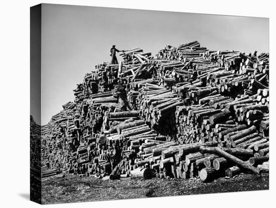 Worker on Top of Pile of Pine Logs Outside Union Bag and Paper Co.-Margaret Bourke-White-Premier Image Canvas