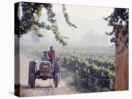 Workers on a Tractor at the Conchay Toro Vineyards, Chile-Bill Ray-Premier Image Canvas