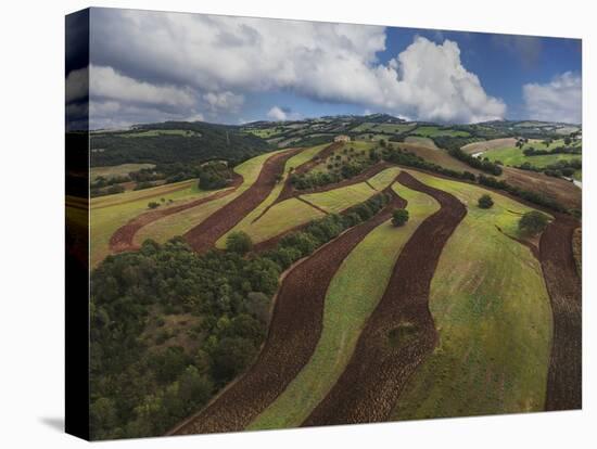 Working a Field near Manciano, Air View by Drone-Guido Cozzi-Premier Image Canvas