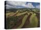 Working a Field near Manciano, Air View by Drone-Guido Cozzi-Premier Image Canvas