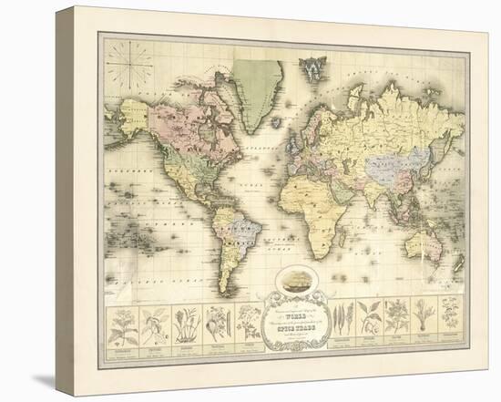 World Spice Trade Map-The Vintage Collection-Stretched Canvas