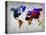 World Watercolor Map 12-NaxArt-Stretched Canvas