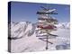 Worldwide Signpost in Ischgl, Austria-Martina Bleichner-Stretched Canvas