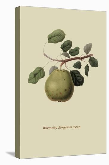 Wormsley Bergamot Pear-William Hooker-Stretched Canvas