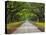 Wormsloe Plantation, Savannah, Georgia, USA-Joanne Wells-Premier Image Canvas