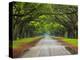 Wormsloe Plantation, Savannah, Georgia, USA-Joanne Wells-Premier Image Canvas