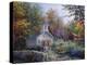 Worship in the Country-Nicky Boehme-Premier Image Canvas