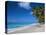 Worthing Beach on South Coast of Southern Parish of Christ Church, Barbados, Caribbean-Robert Francis-Premier Image Canvas