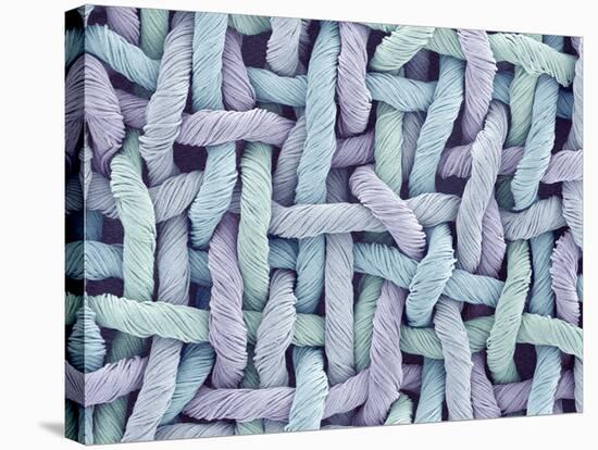 Woven Synthetic Fabric-Micro Discovery-Premier Image Canvas
