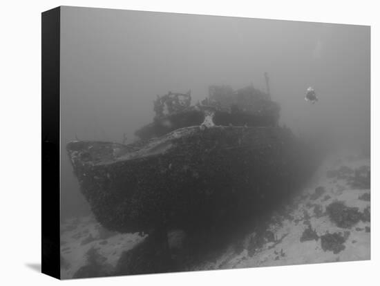Wreck Diving on the Superior Producer in Curacao-Stocktrek Images-Premier Image Canvas