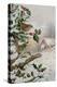 Wren in Hollybush by a cottage-Carl Donner-Premier Image Canvas