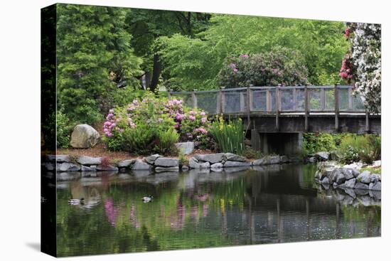 Wright Park, Tacoma, Washington State, United States of America, North America-Richard Cummins-Premier Image Canvas