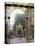 Wrought Iron by Lamor, Restored, Place Stanislaus, Nancy, Lorraine, France-Adam Woolfitt-Premier Image Canvas