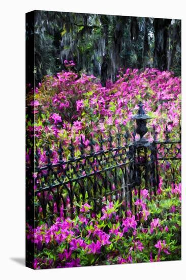 Wrought Iron fence and azaleas in full bloom, Bonaventure Cemetery, Georgia-Adam Jones-Premier Image Canvas