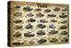 WWII Tanks-null-Stretched Canvas