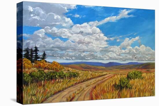 Wyoming Backroad near Vedauwoo, Wyoming-Patty Baker-Stretched Canvas