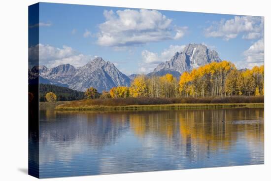Wyoming, Grand Teton National Park, Autumn Color Along the Snake River Oxbow with Mt-Elizabeth Boehm-Premier Image Canvas