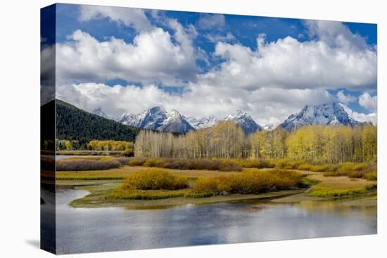 Wyoming, Grand Teton National Park. Landscape of Water, Forest and Mountains-Jaynes Gallery-Premier Image Canvas