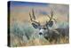 Wyoming, Grand Teton NP. A monster Mule Deer buck poses for a portrait shot of it's large antlers.-Elizabeth Boehm-Premier Image Canvas