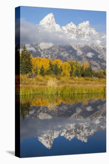 Wyoming, Grand Teton NP. Grand Teton with fresh snow is reflected in a pond with autumn cottonwoods-Elizabeth Boehm-Premier Image Canvas