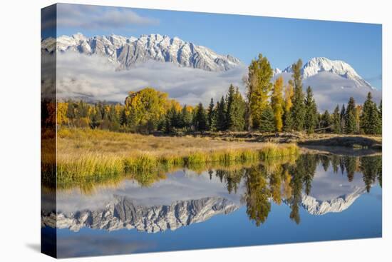 Wyoming, Grand Teton NP. Schwabacher Landing, Mt. Moran and the Teton mountains-Elizabeth Boehm-Premier Image Canvas