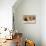 Wyoming, Lincoln County, Two Fox Kits Sit in Front of their Den-Elizabeth Boehm-Premier Image Canvas displayed on a wall