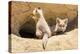 Wyoming, Lincoln County, Two Fox Kits Sit in Front of their Den-Elizabeth Boehm-Premier Image Canvas