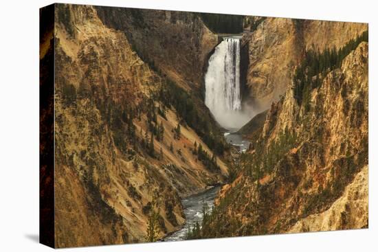 Wyoming, Lower Falls Yellowstone National Park-Patrick J. Wall-Premier Image Canvas