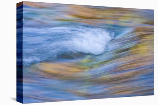 Wyoming, Sublette County, Pine Creek Abstract and Fall Colors-Elizabeth Boehm-Premier Image Canvas