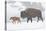 Wyoming, Yellowstone National Park, Bison and Newborn Calf Walking in Snowstorm-Elizabeth Boehm-Premier Image Canvas