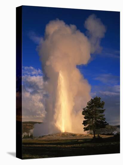 Wyoming, Yellowstone National Park, Old Faithful, Steam and Water Erupting from Thermal Pool-null-Premier Image Canvas