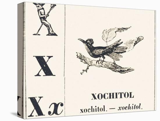 X for Xochitol, 1850 (Engraving)-Louis Simon (1810-1870) Lassalle-Premier Image Canvas